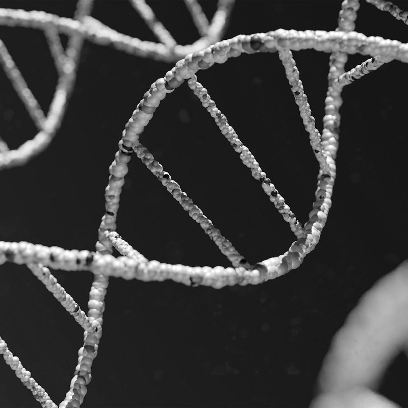 A DNA double helix