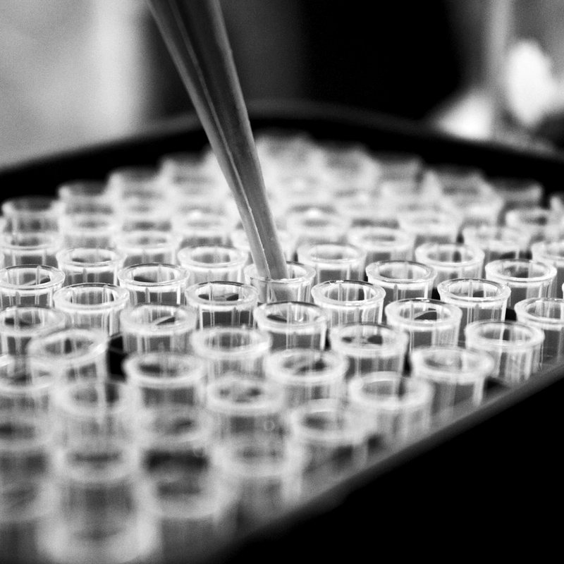 A pipette dispensing into a tray of laboratory tubes