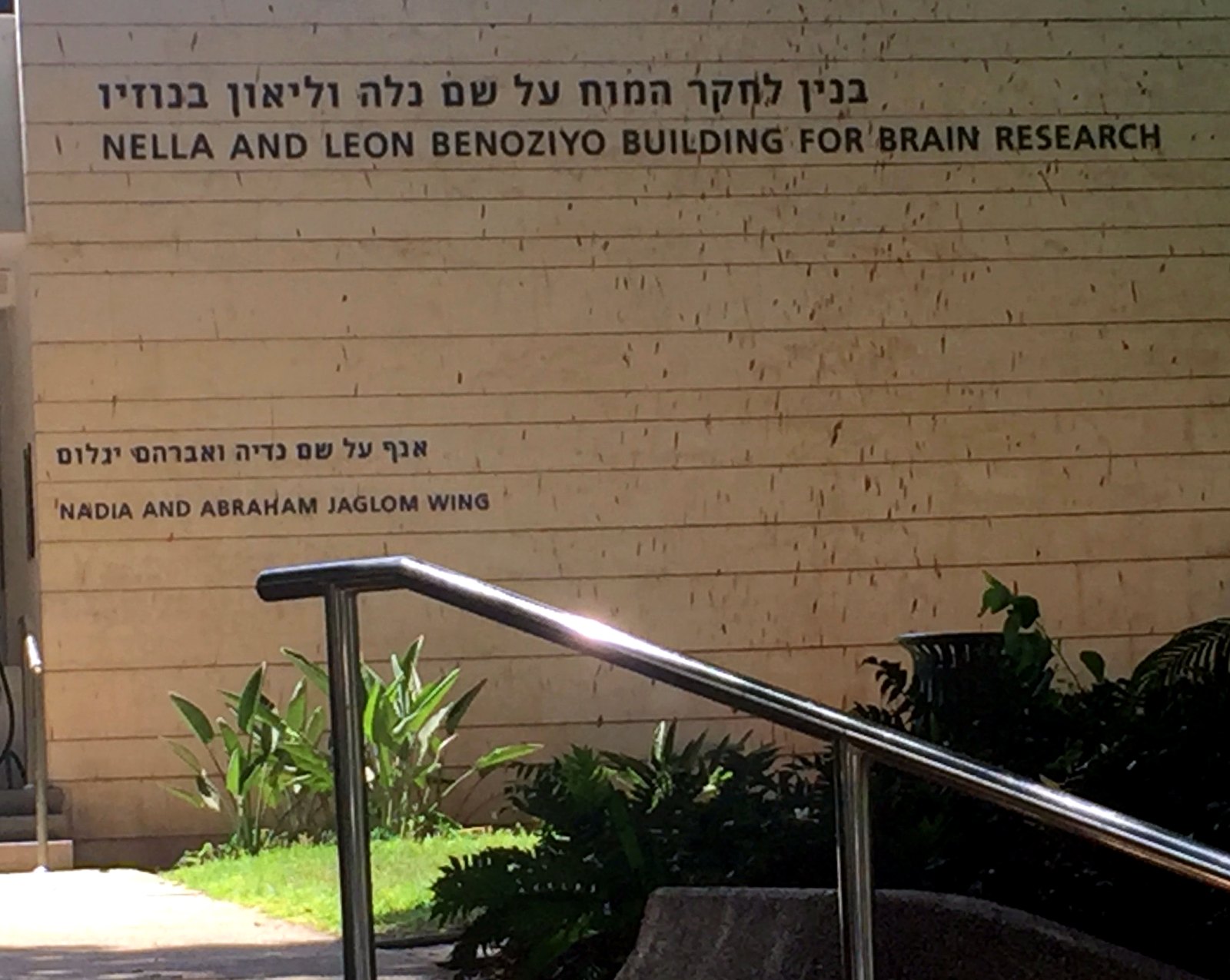 Limestone facade of the Nella and Leon Benoziyo Building for Brain Research