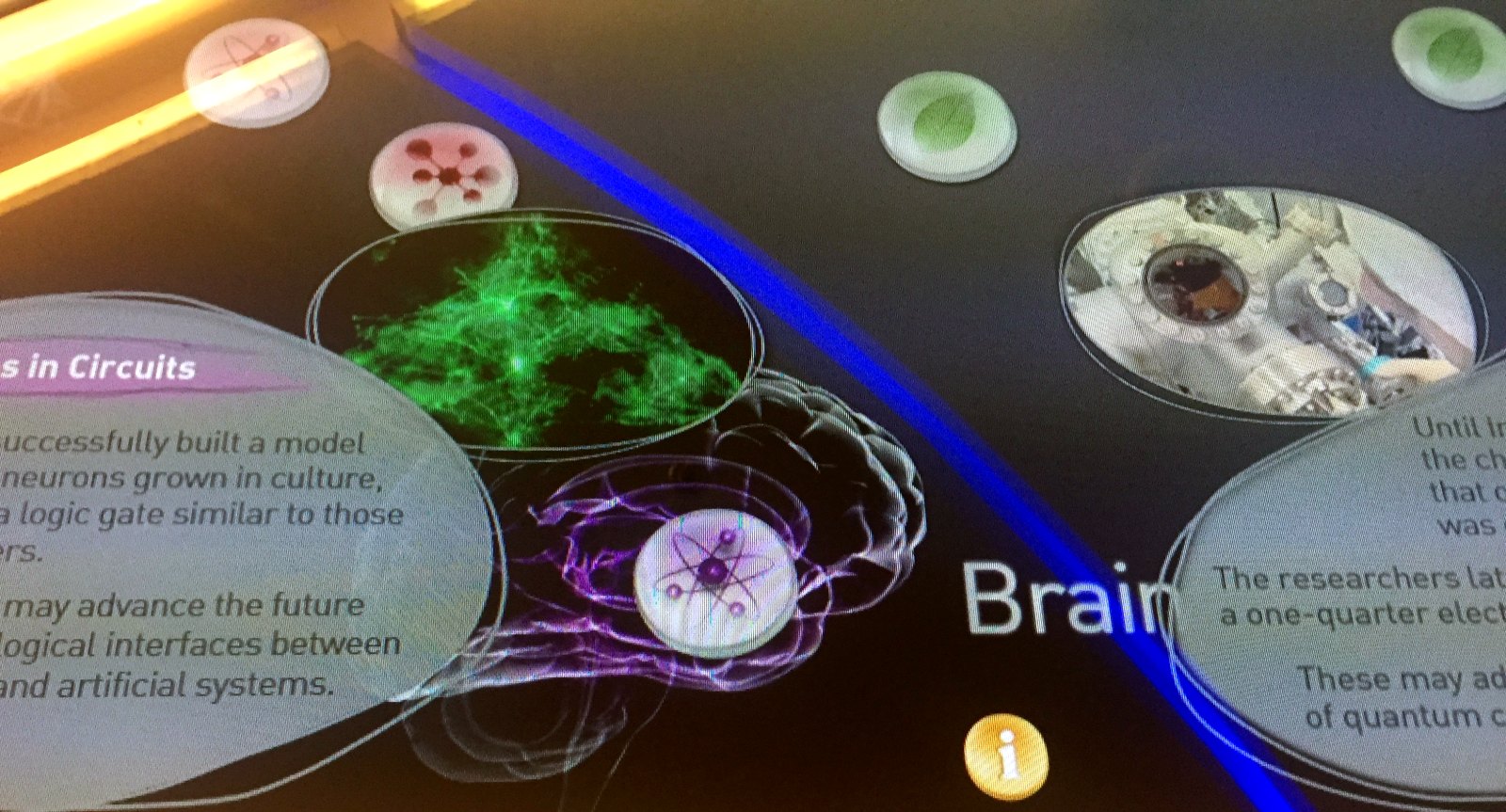 An interactive exhibit at the Levinson Visitors Center